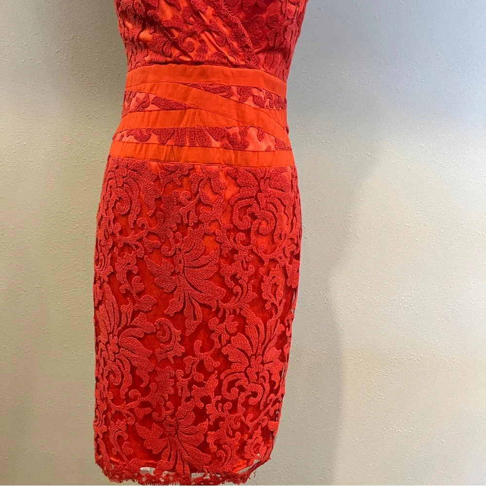 Tadashi Shoji excellent fully